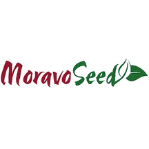 Moravo Seed