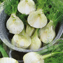 Інші культури