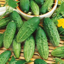 Для засолювання