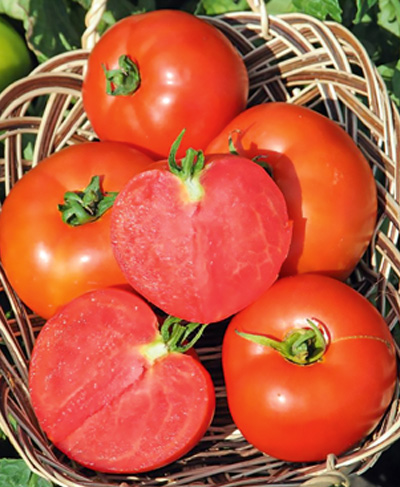 Помідор Полфаст F1